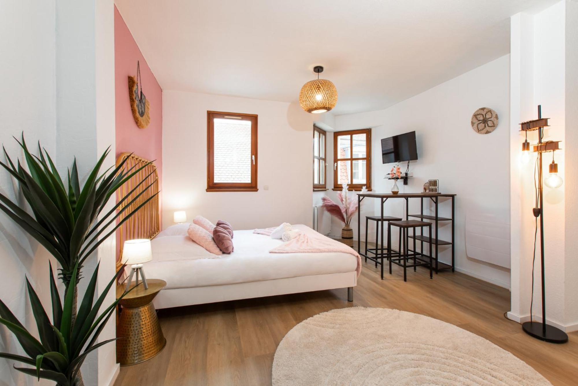 Nouveau - Le Discovery - Petite Venise Colmar Room photo